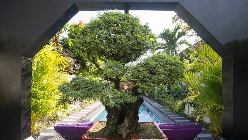 Bonsai Villas Seminyak Zimmer foto